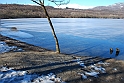 Lago Piccolo di Avigliana ghiacciato_016